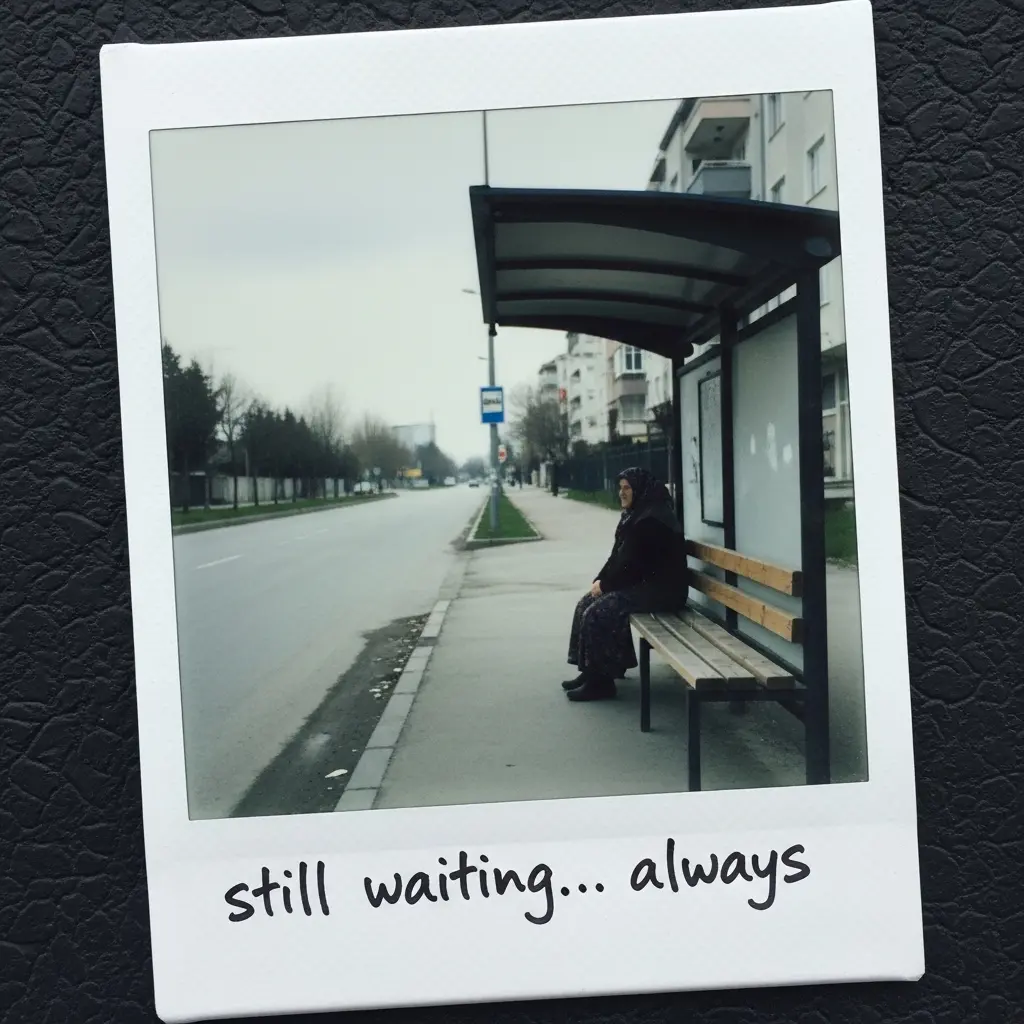 Transit access in peripheral neighborhoods — equity and city planning context